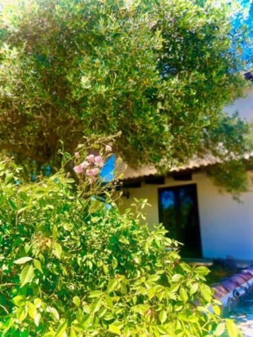 Camera Villa Sarda Aurora Elmas Kültér fotó
